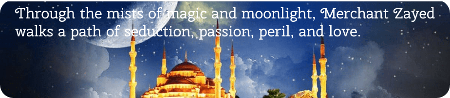 Merchant Zayed banner